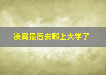 凌霄最后去哪上大学了