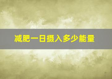 减肥一日摄入多少能量