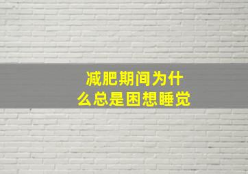 减肥期间为什么总是困想睡觉