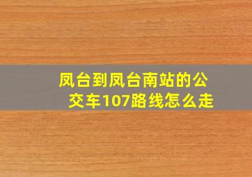 凤台到凤台南站的公交车107路线怎么走