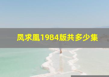 凤求凰1984版共多少集