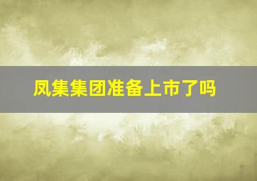 凤集集团准备上市了吗