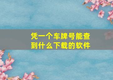 凭一个车牌号能查到什么下载的软件