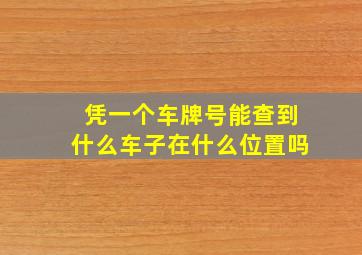 凭一个车牌号能查到什么车子在什么位置吗