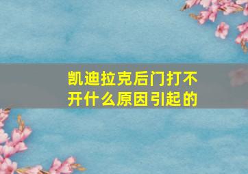 凯迪拉克后门打不开什么原因引起的