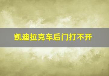 凯迪拉克车后门打不开