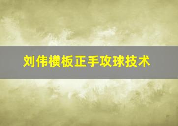 刘伟横板正手攻球技术