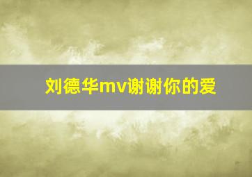 刘德华mv谢谢你的爱