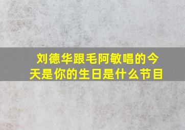 刘德华跟毛阿敏唱的今天是你的生日是什么节目