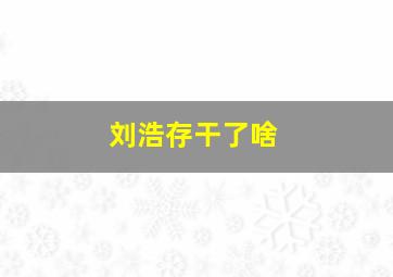 刘浩存干了啥