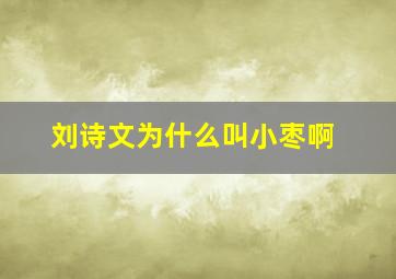 刘诗文为什么叫小枣啊