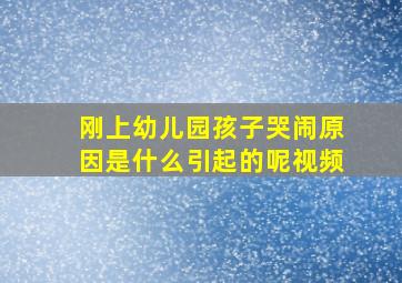 刚上幼儿园孩子哭闹原因是什么引起的呢视频