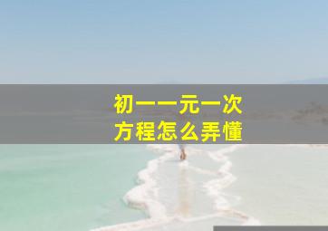 初一一元一次方程怎么弄懂