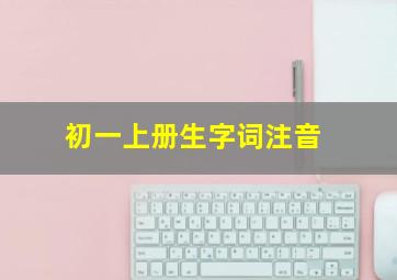 初一上册生字词注音