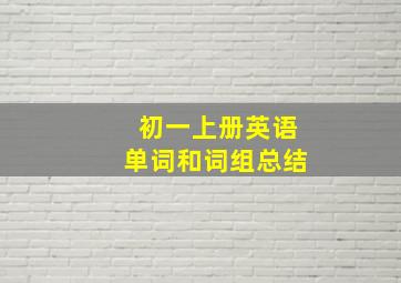 初一上册英语单词和词组总结