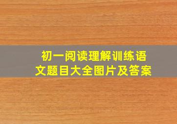 初一阅读理解训练语文题目大全图片及答案