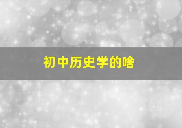 初中历史学的啥