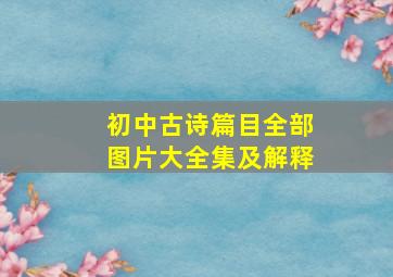 初中古诗篇目全部图片大全集及解释