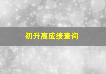 初升高成绩查询