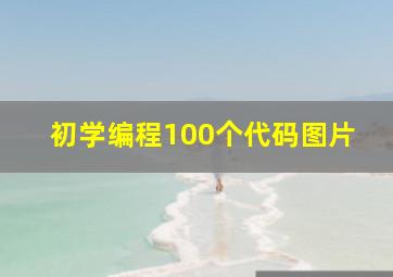 初学编程100个代码图片