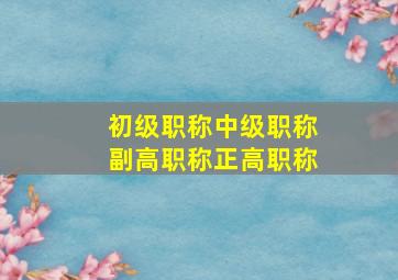 初级职称中级职称副高职称正高职称