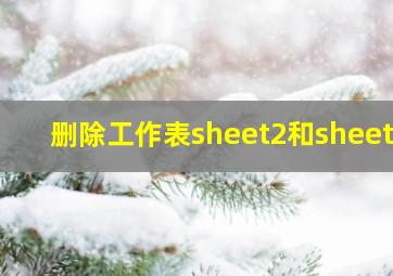 删除工作表sheet2和sheet3