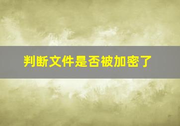 判断文件是否被加密了