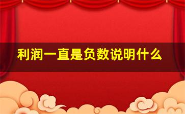 利润一直是负数说明什么