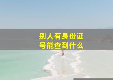 别人有身份证号能查到什么