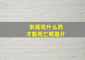 到底吃什么药才能死亡呢图片