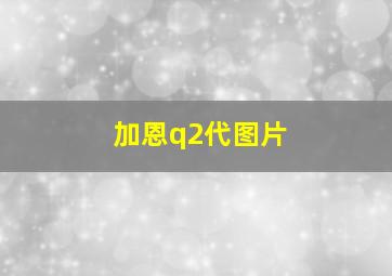 加恩q2代图片