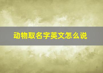 动物取名字英文怎么说