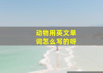 动物用英文单词怎么写的呀