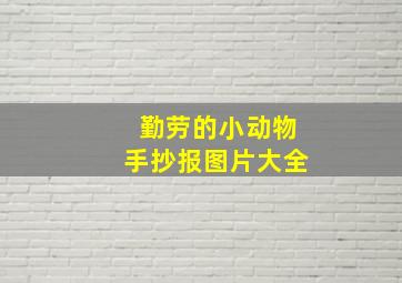 勤劳的小动物手抄报图片大全