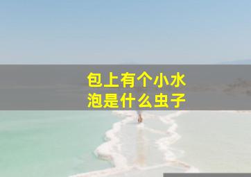 包上有个小水泡是什么虫子