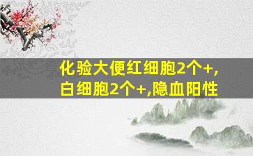 化验大便红细胞2个+,白细胞2个+,隐血阳性