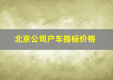 北京公司户车指标价格