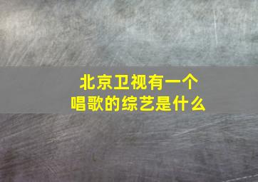 北京卫视有一个唱歌的综艺是什么