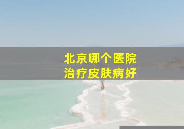 北京哪个医院治疗皮肤病好