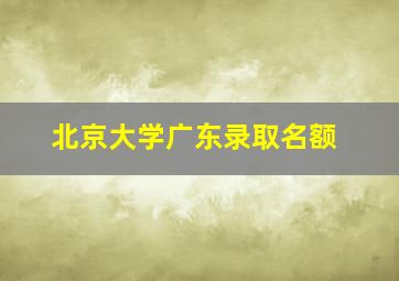 北京大学广东录取名额