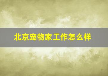 北京宠物家工作怎么样