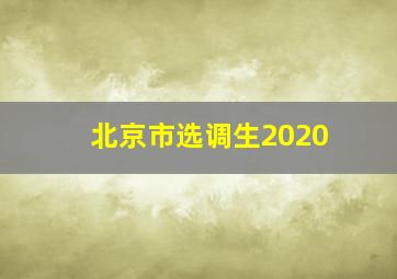 北京市选调生2020