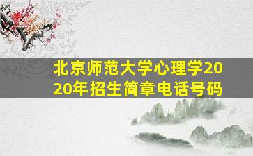 北京师范大学心理学2020年招生简章电话号码