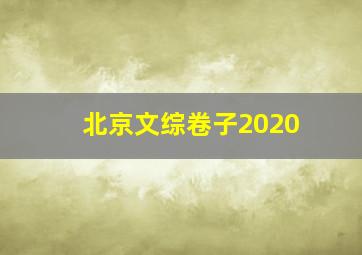 北京文综卷子2020