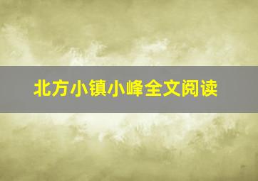 北方小镇小峰全文阅读