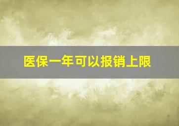 医保一年可以报销上限