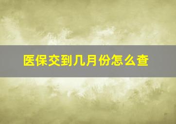 医保交到几月份怎么查