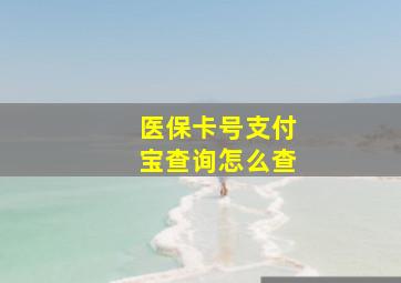 医保卡号支付宝查询怎么查