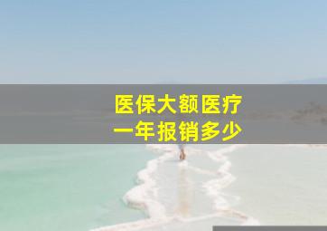 医保大额医疗一年报销多少