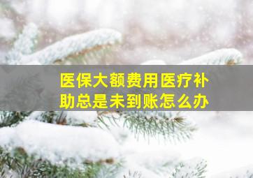 医保大额费用医疗补助总是未到账怎么办